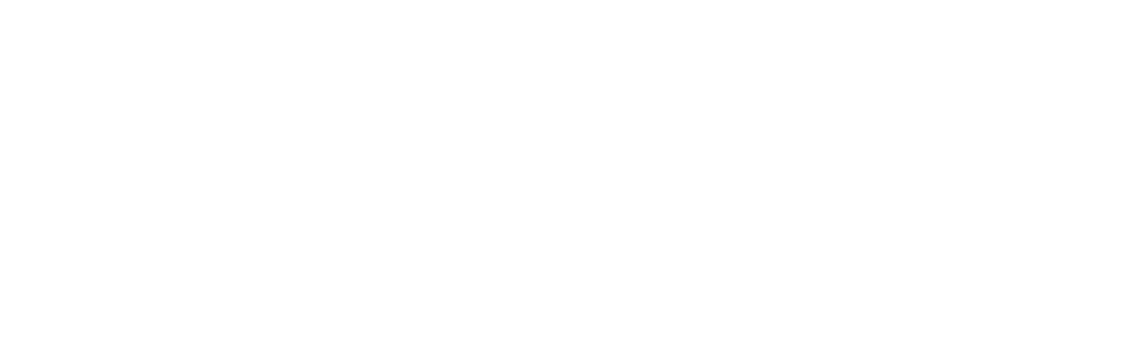 IDG Logo white