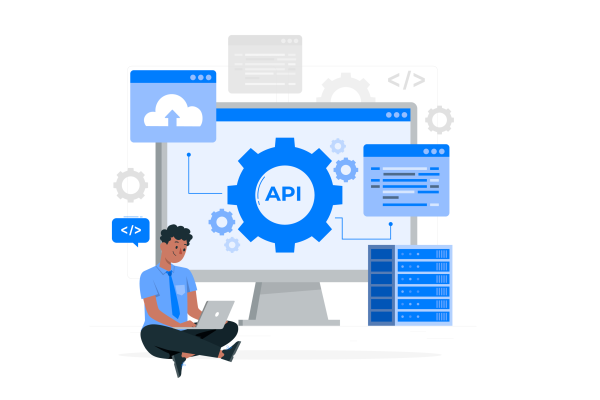 Software API